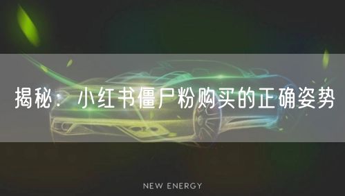 揭秘：小红书僵尸粉购买的正确姿势