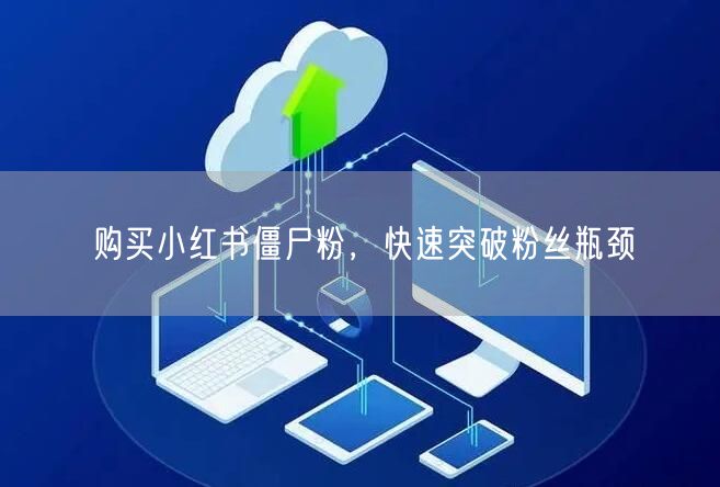 购买小红书僵尸粉，快速突破粉丝瓶颈