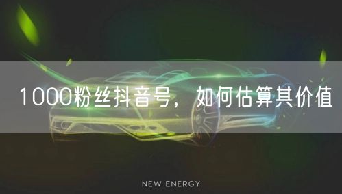 1000粉丝抖音号，如何估算其价值
