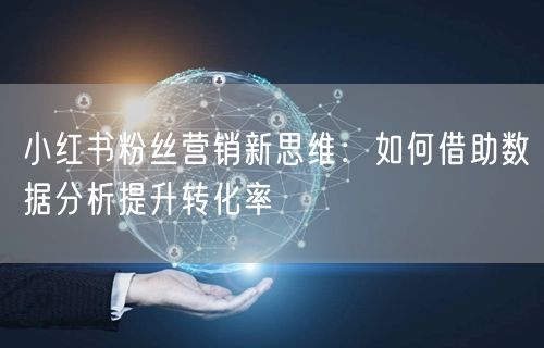 小红书粉丝营销新思维：如何借助数据分析提升转化率