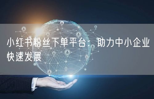 小红书粉丝下单平台：助力中小企业快速发展