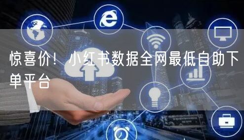 惊喜价！小红书数据全网最低自助下单平台