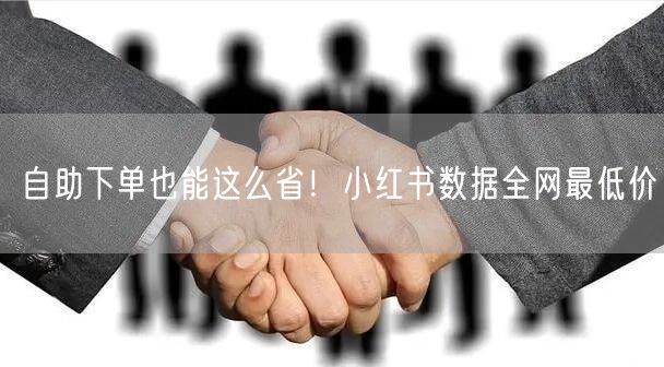 自助下单也能这么省！小红书数据全网最低价