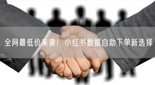 全网最低价来袭！小红书数据自助下单新选择