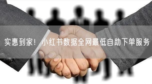 实惠到家！小红书数据全网最低自助下单服务