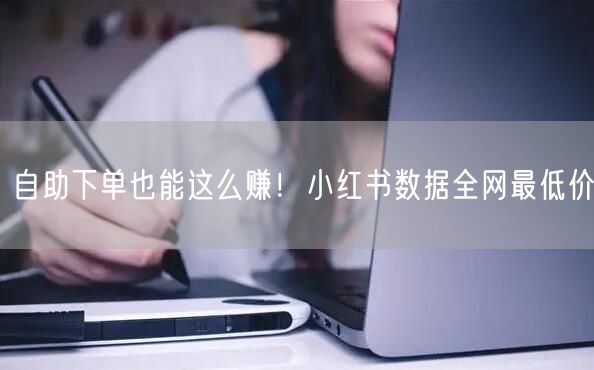 自助下单也能这么赚！小红书数据全网最低价