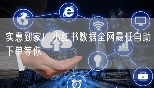 实惠到家！小红书数据全网最低自助下单等你