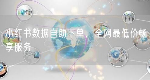 小红书数据自助下单，全网最低价畅享服务