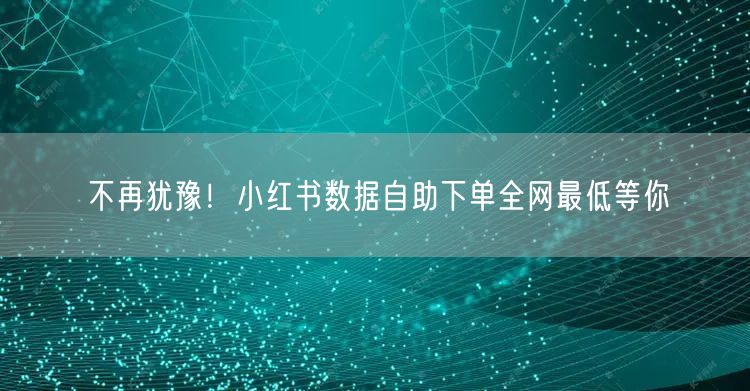 不再犹豫！小红书数据自助下单全网最低等你