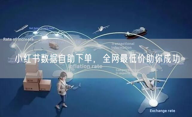 小红书数据自助下单，全网最低价助你成功