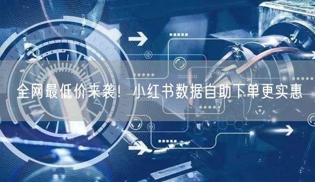全网最低价来袭！小红书数据自助下单更实惠
