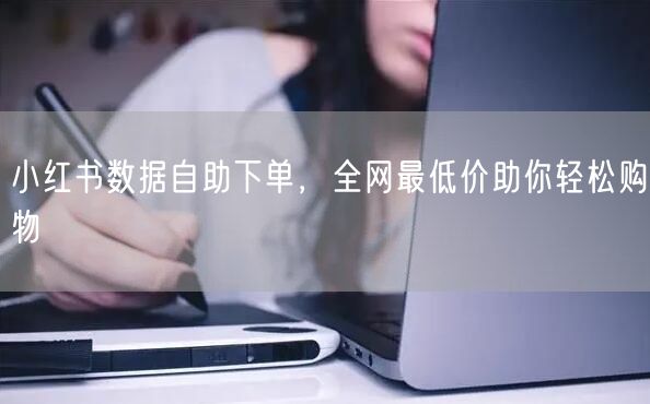 小红书数据自助下单，全网最低价助你轻松购物