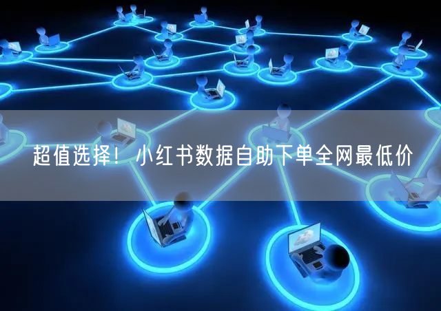 超值选择！小红书数据自助下单全网最低价