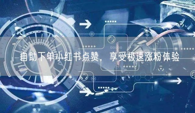 自助下单小红书点赞，享受极速涨粉体验