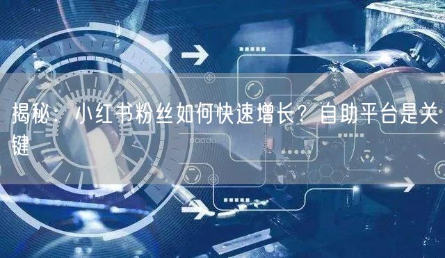揭秘：小红书粉丝如何快速增长？自助平台是关键
