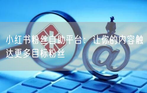 小红书粉丝自助平台：让你的内容触达更多目标粉丝