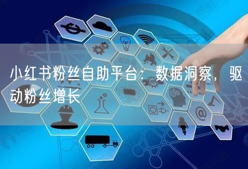 小红书粉丝自助平台：数据洞察，驱动粉丝增长