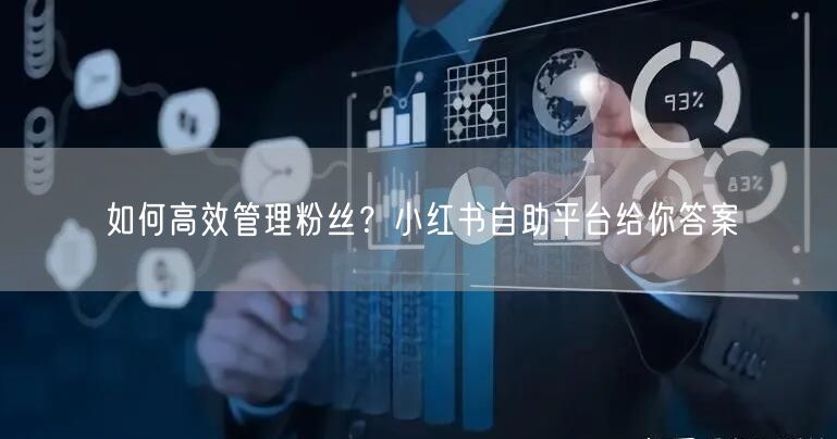 如何高效管理粉丝？小红书自助平台给你答案