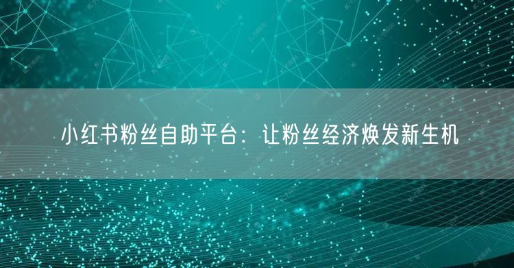 小红书粉丝自助平台：让粉丝经济焕发新生机