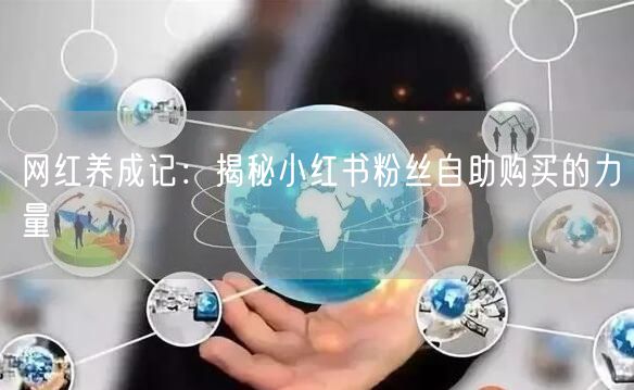 网红养成记：揭秘小红书粉丝自助购买的力量