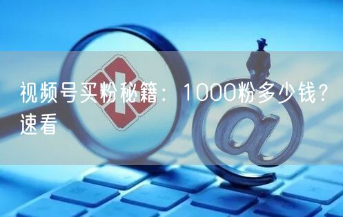 视频号买粉秘籍：1000粉多少钱？速看